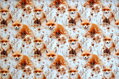 Fox jersey