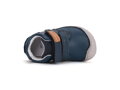 D.D.Step Royal Blue BF Boy