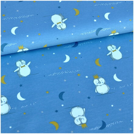 Pinguin dusty blue jersey
